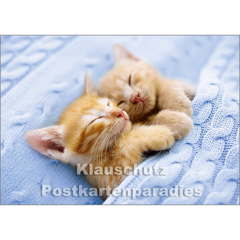 zwei schlafende Kätzchen unter einer blauen Decke | Postkarte Postkartenparadies